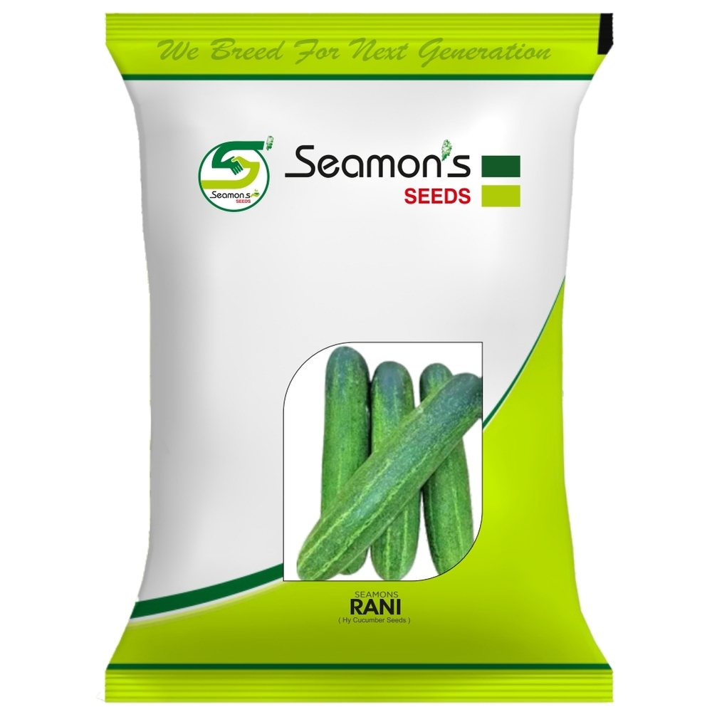 SEAMONS RANI Cucumber Seeds