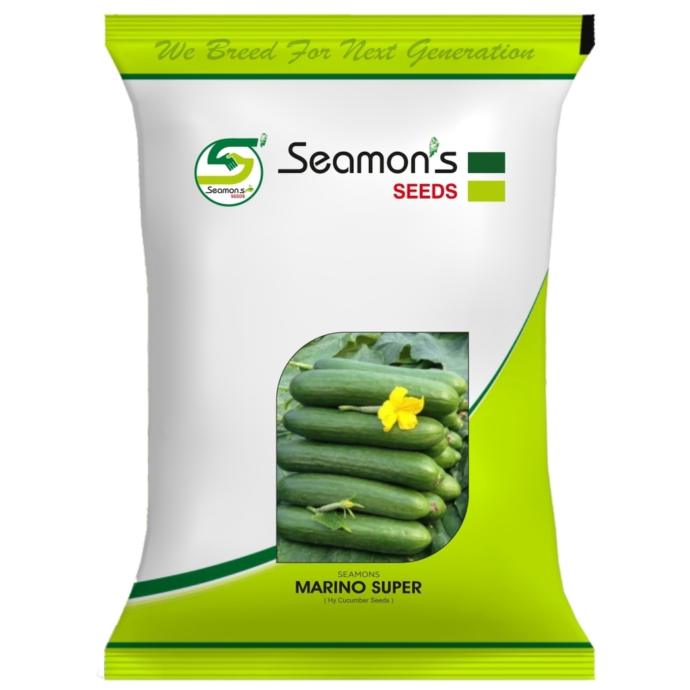 SEAMONS MARINO SUPER Cucumber Seeds