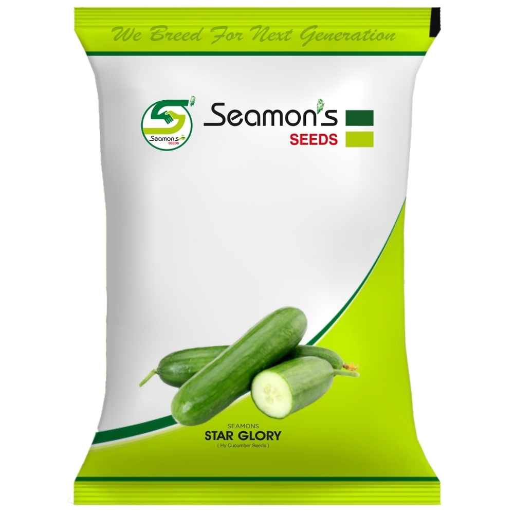 STAR GLORY Cucumber Seeds