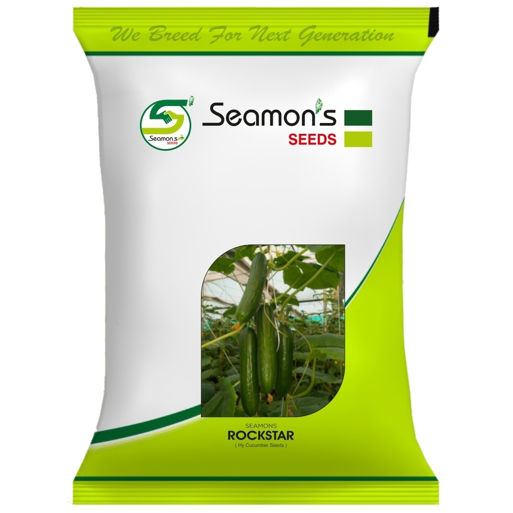ROCK STAR Cucumber Seeds
