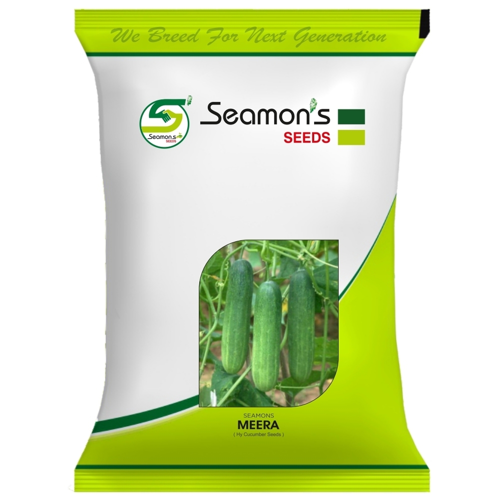MEERA Cucumber Seeds
