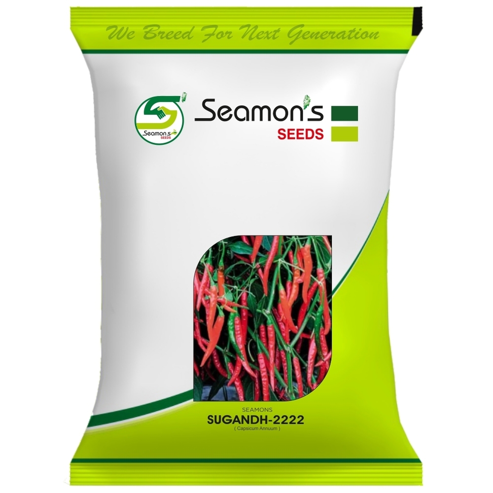 SEAMONS SUGANDH 2222 Chilli Seeds