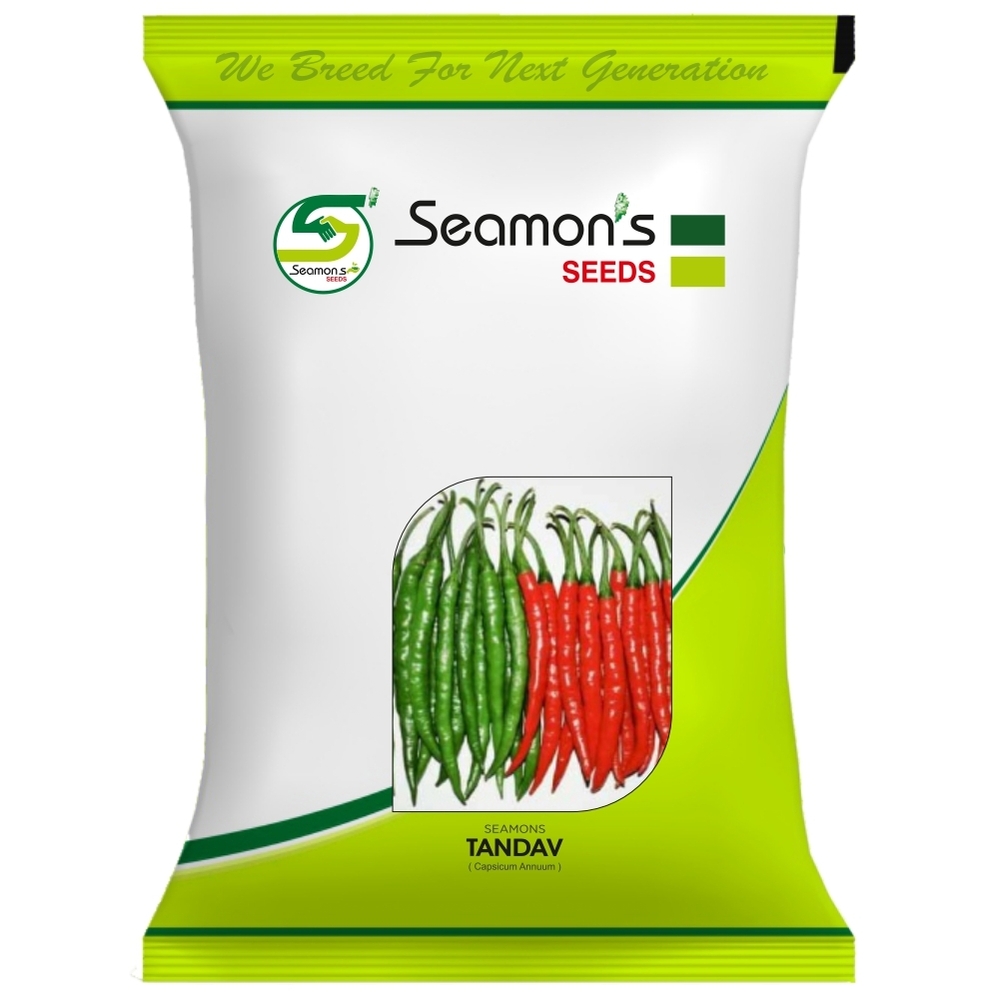 TANDAV Chilli Seeds