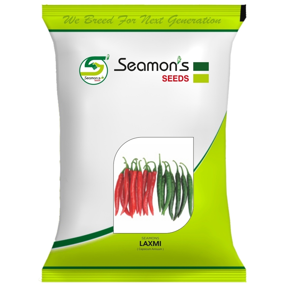 SEAMONS LAXMI Chilli Seeds