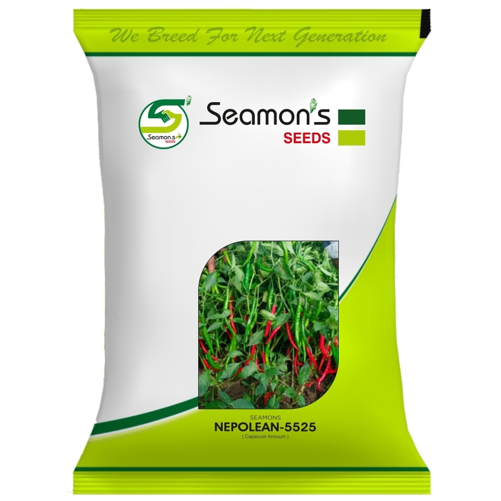 NEPOLEAN-5525 Chilli Seeds
