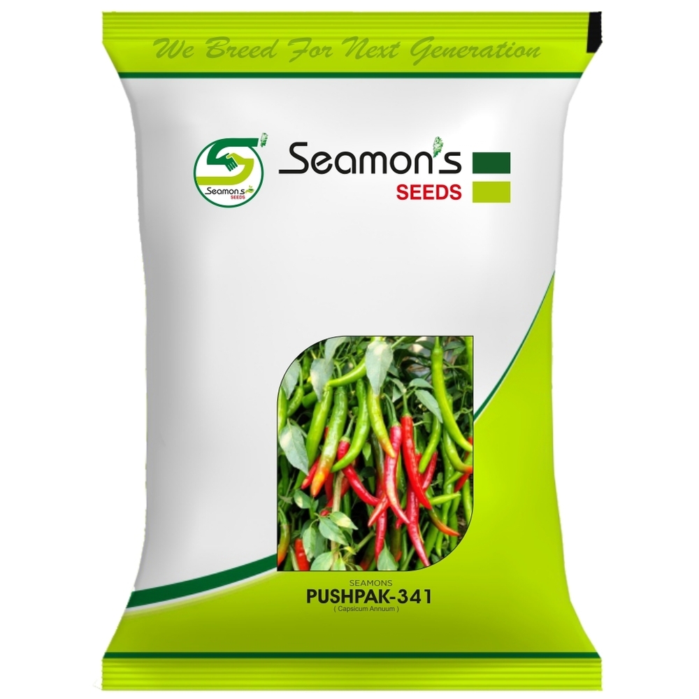 PUSHPAK 341 Chilli Seeds