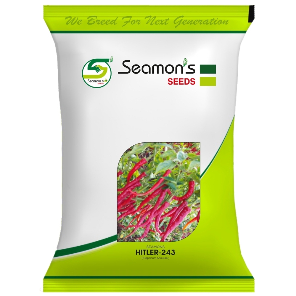 HITLER-243 Chilli Seeds