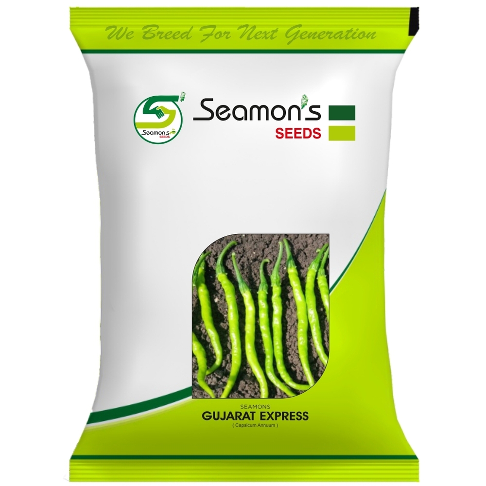 GUJARAT EXPRESS Chilli Seeds