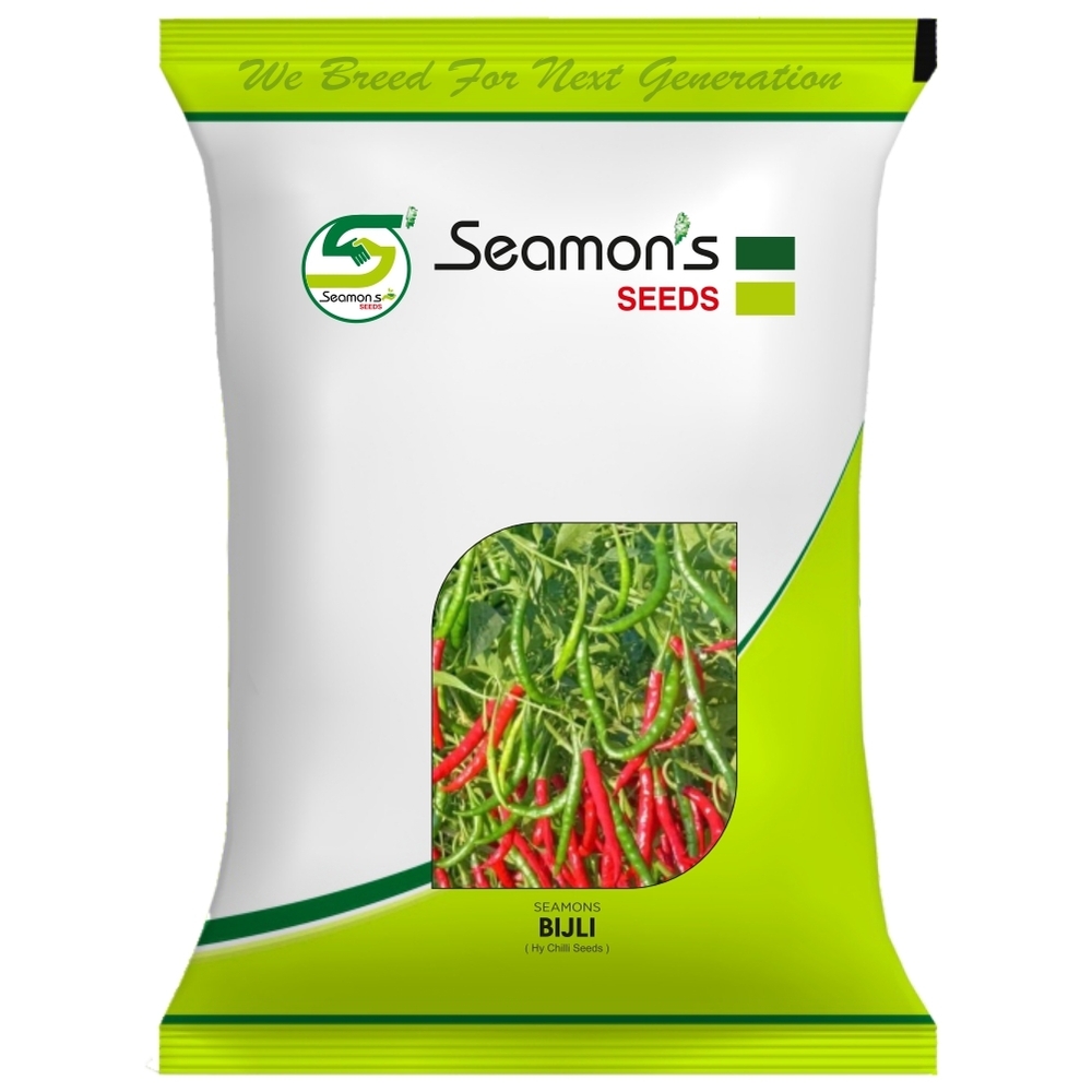 BIJLI 111 Chilli Seeds