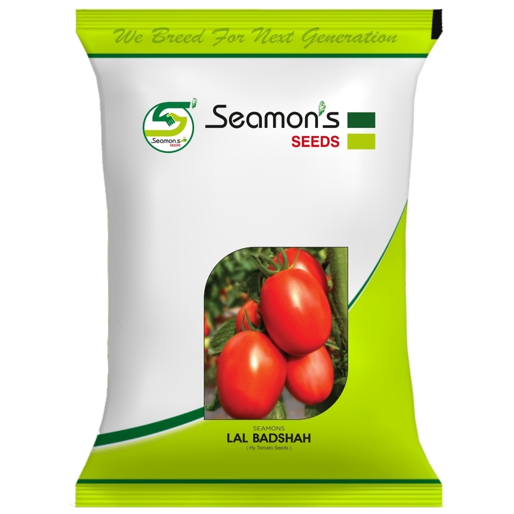 LAL BADSHAH Tomato Seeds