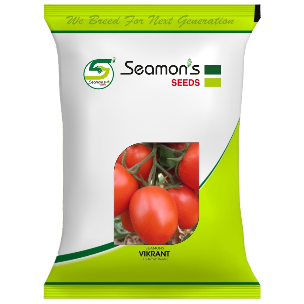 SEAMONS VIKRANT Tomato Seeds