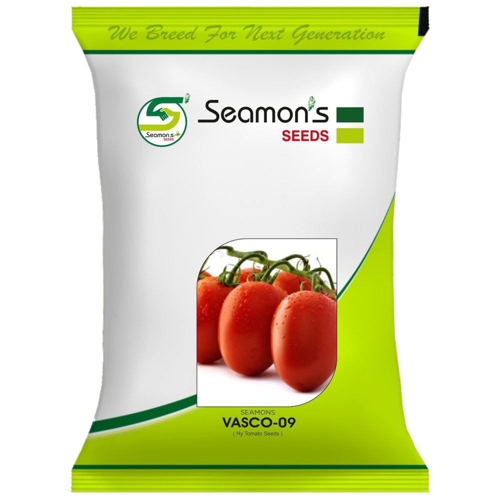 SEAMONS VASCO 09 Tomato Seeds