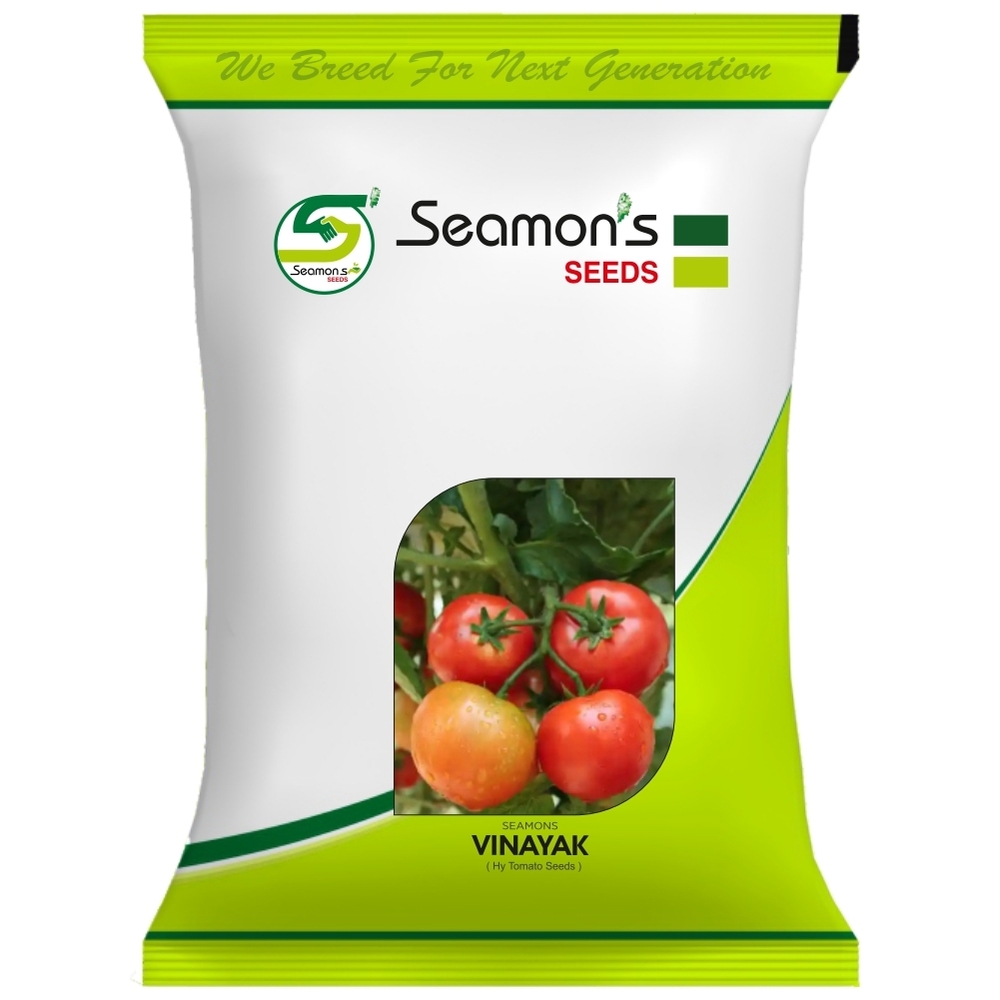 SEAMONS VINAYAK Tomato Seeds
