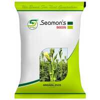 Angara 2535 Okra Seeds