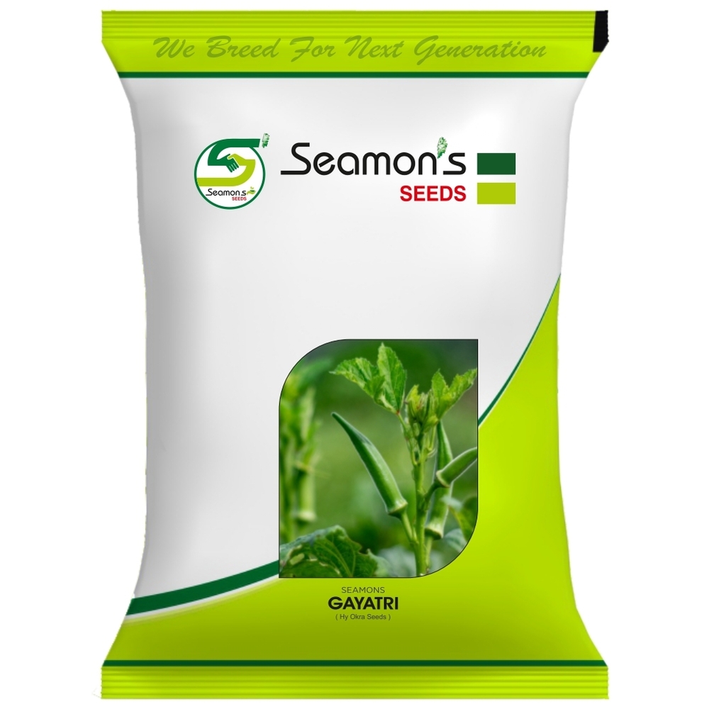 SEAMONS GAYATRI Okra Seeds