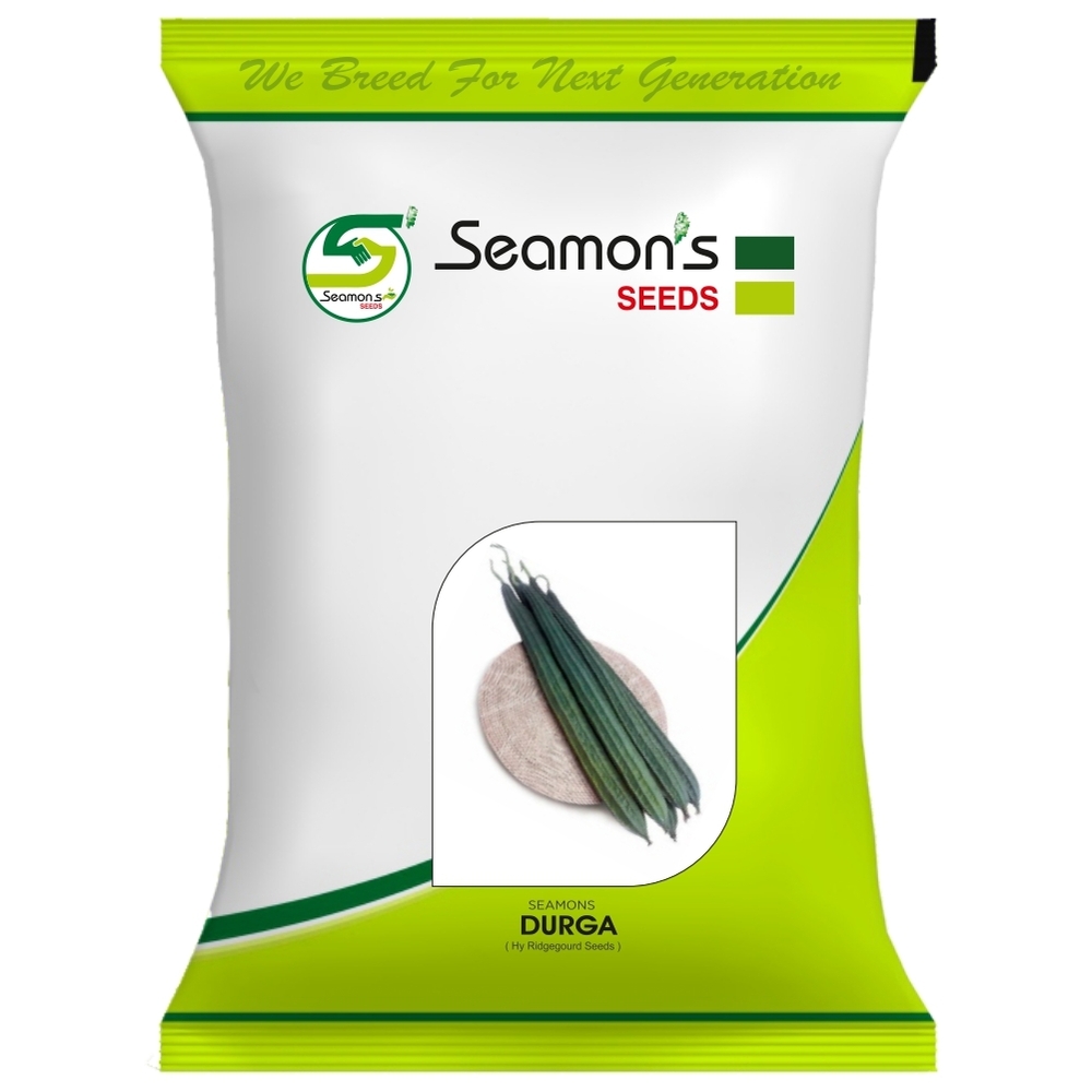 SEAMONS DURGA Ridge Gourd Seeds