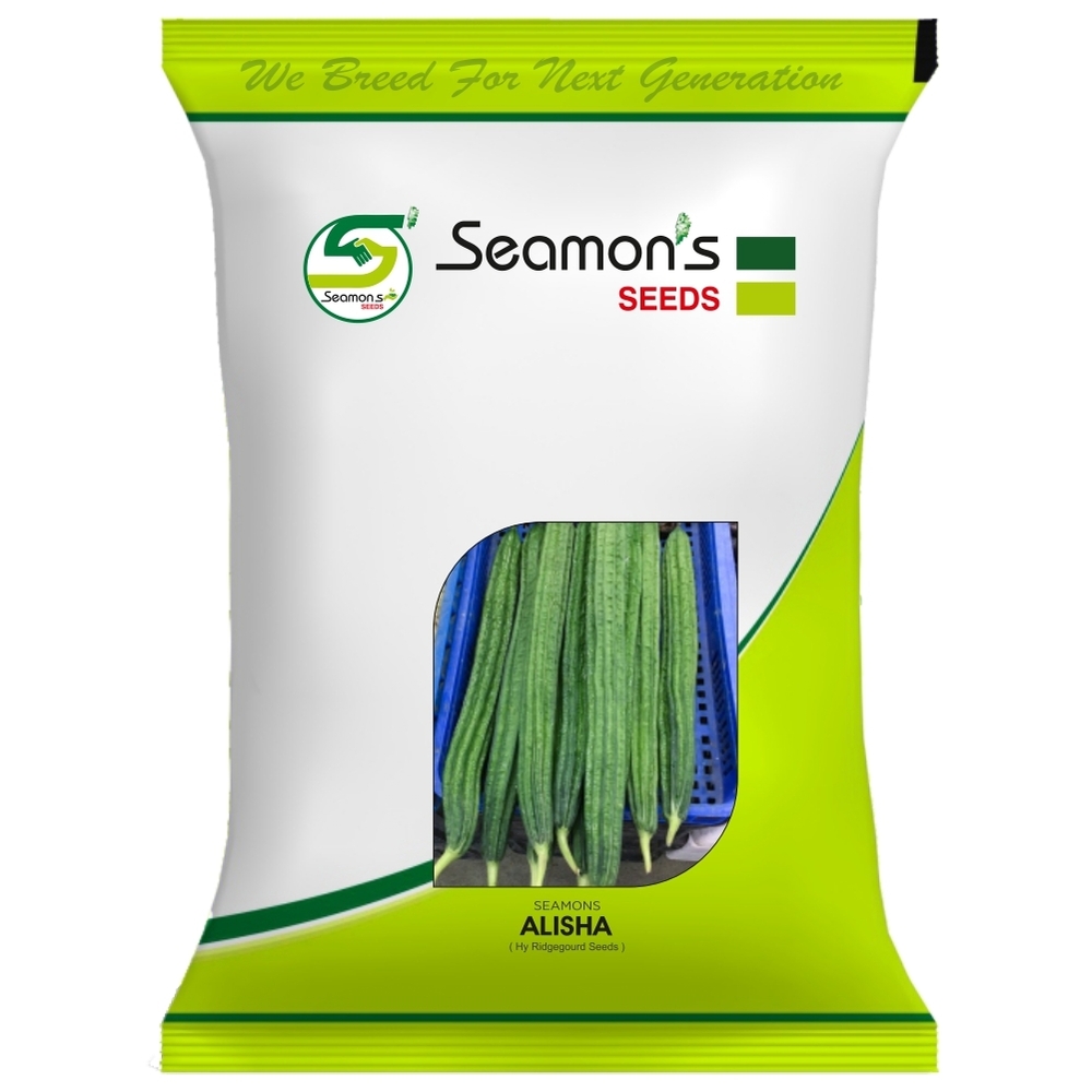 SEAMONS ALISHA Ridge Gourd Seeds