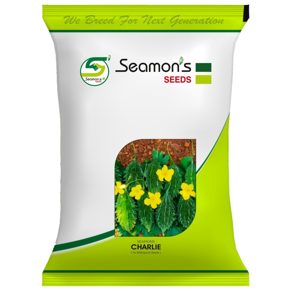 SEAMONS CHARLIE Bitter Gourd Seeds