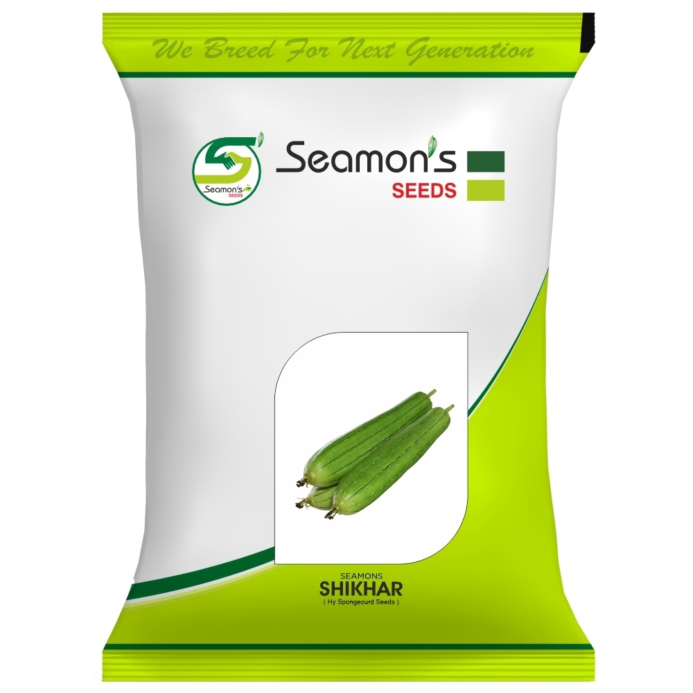 Sponge Gourd Seeds