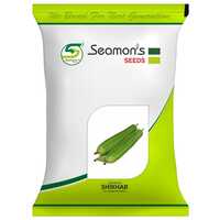 Shikhar Sponge Gourd Seeds - Admixture (%): 1%