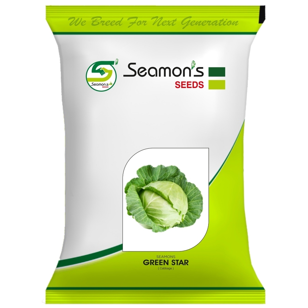 GREEN STAR Cabbage Seeds