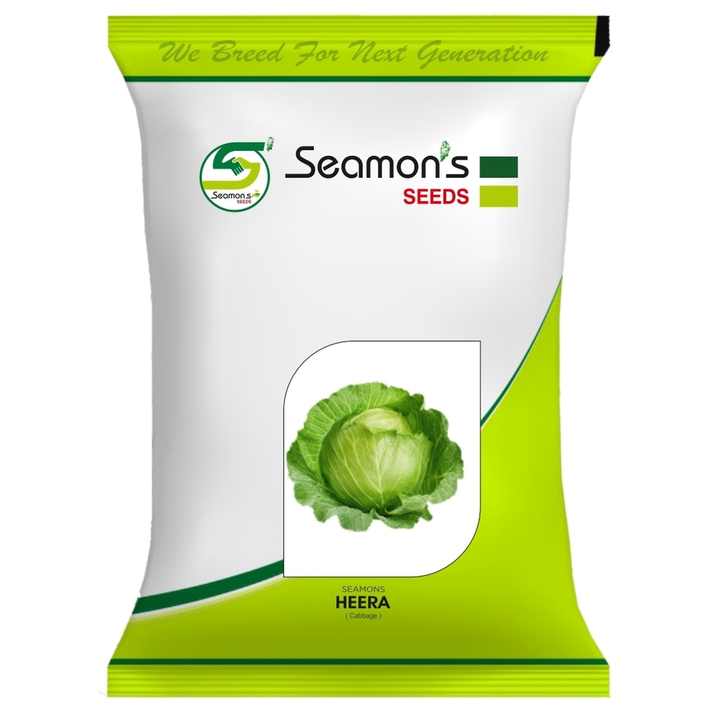 HEERA Cabbage Seeds