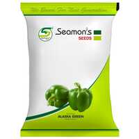 Alaska Green Capsicum Seeds