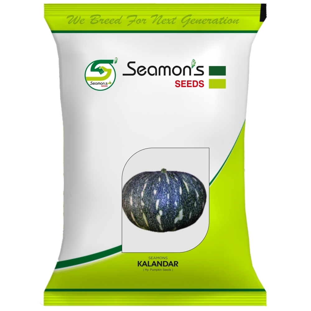 KALANDAR Pumpkin Seeds