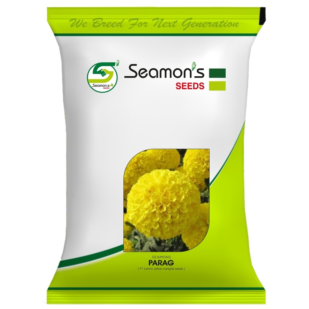 SEAMONS PARAG Marigold Seeds