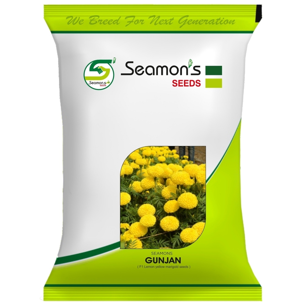 SEAMONS GUNJAN Marigold Seeds