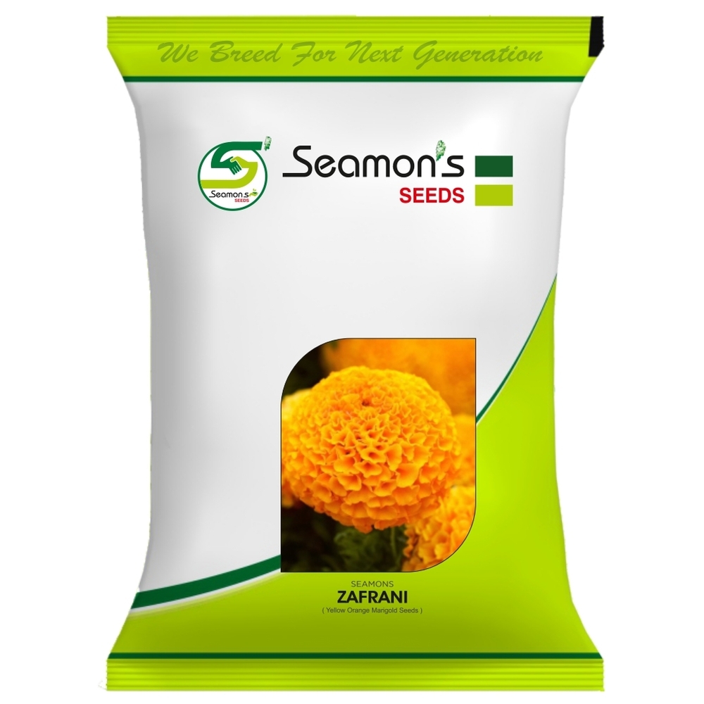 SEAMONS ZAFRANI Marigold Seeds