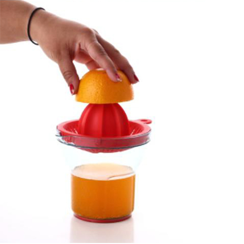 Hand Press Juicer