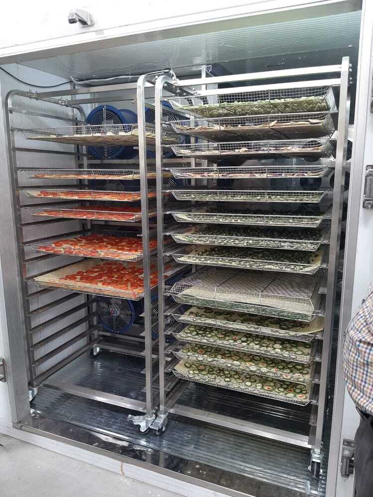 Vegetable Dryer