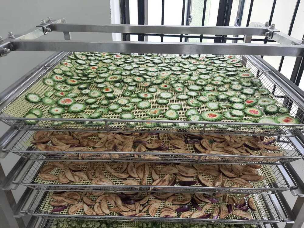 Vegetable Dryer