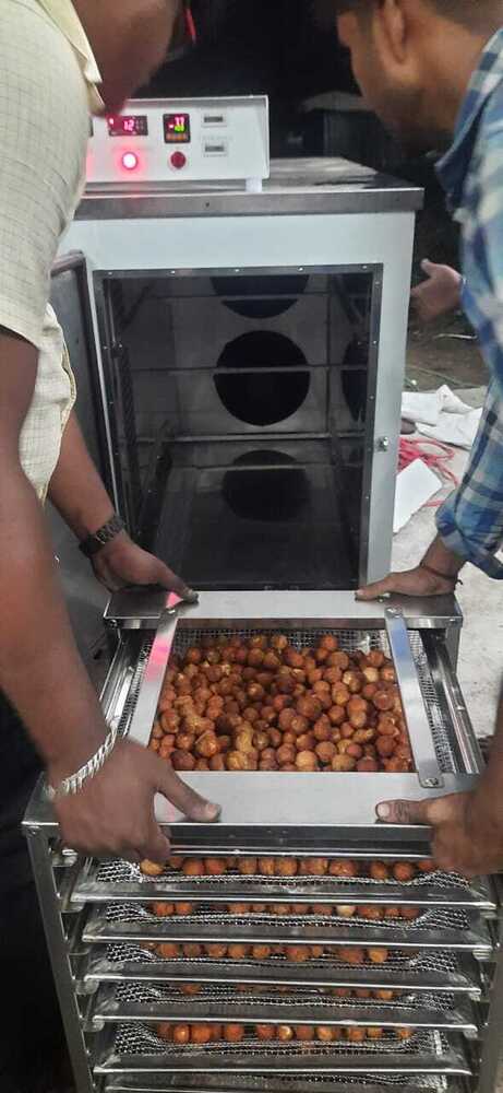 Vegetable Dryer