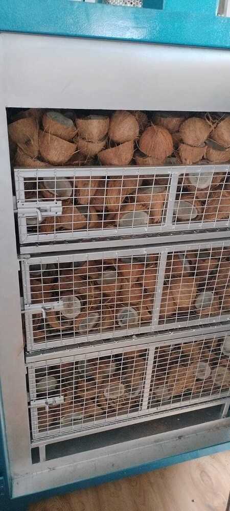 Food Dryer