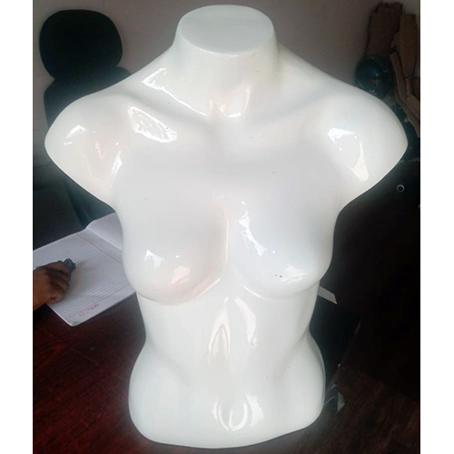 Bust and Torso Mannequin
