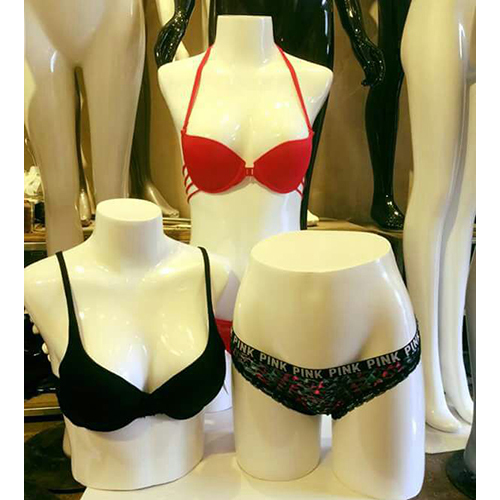 Bust and Torso Mannequin