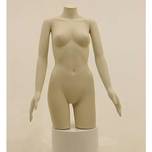 Bust  Torso Mannequin