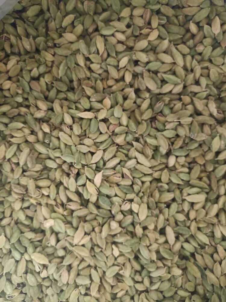 Cardamom Spices   Seeds