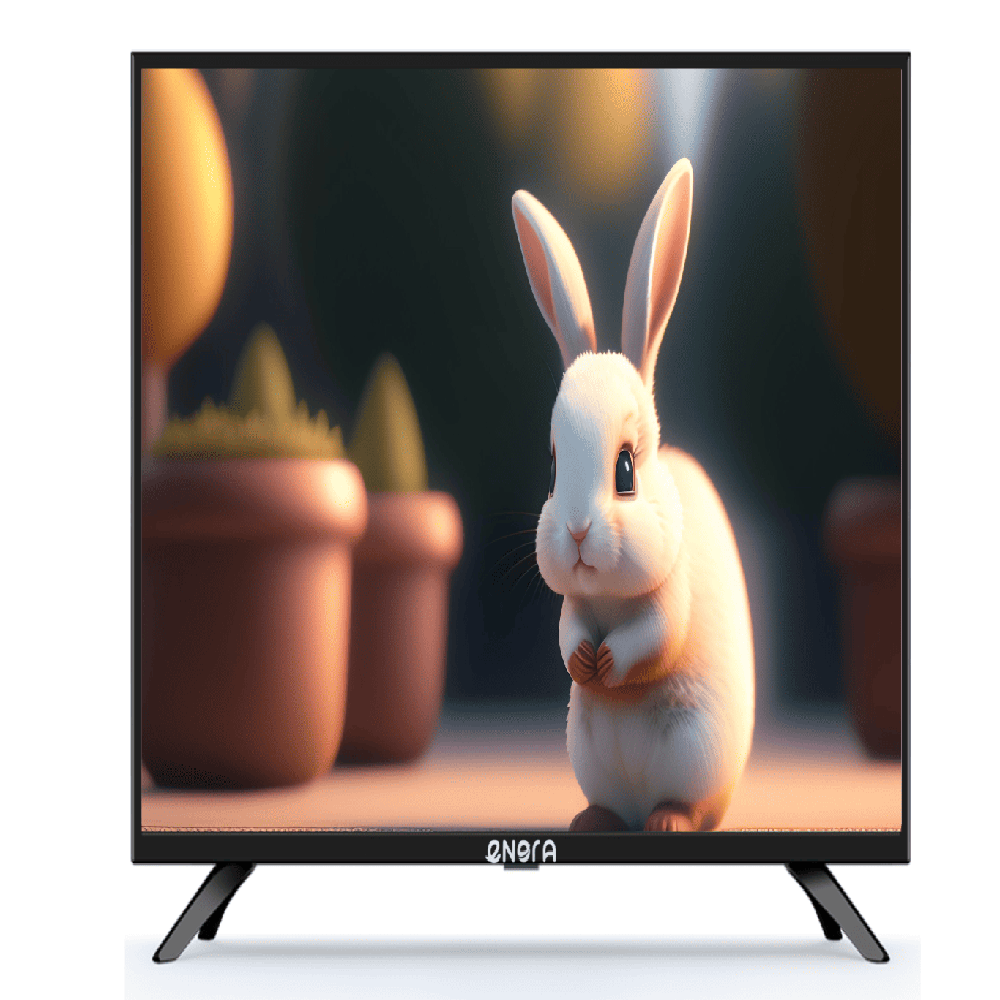 65 Inch DIGITAL BOARD