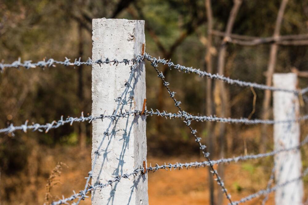 Barbed Wire 12X12