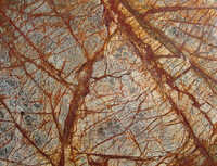 Rain Forest Brown Marble