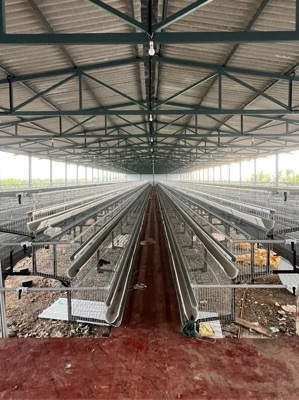 Poultry Farming Layer Cage - Color: Gray