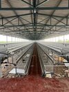 Poultry Farming Layer Cage
