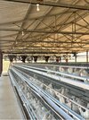 Poultry Feed Trolley