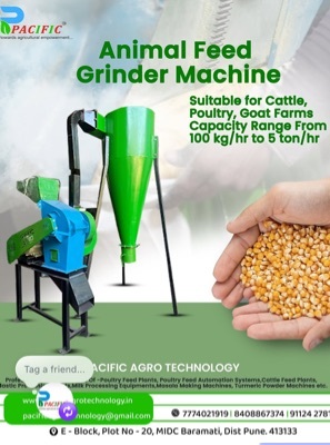 Automatic Corn Grinder Machine