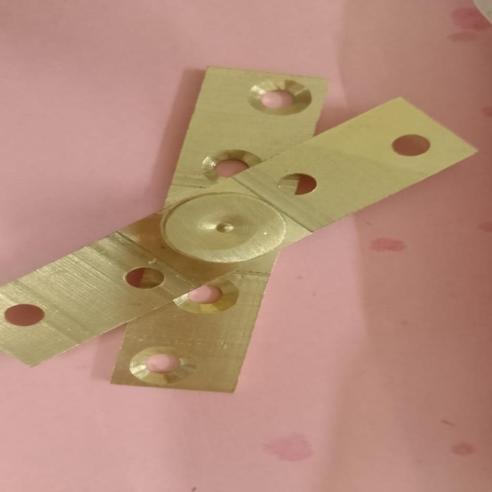 BRASS AND SS PIVOT HINGES