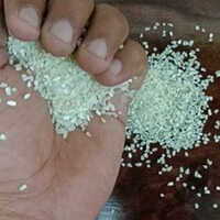 Sortex Broken Rice