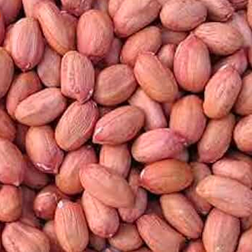 Peanuts Seeds